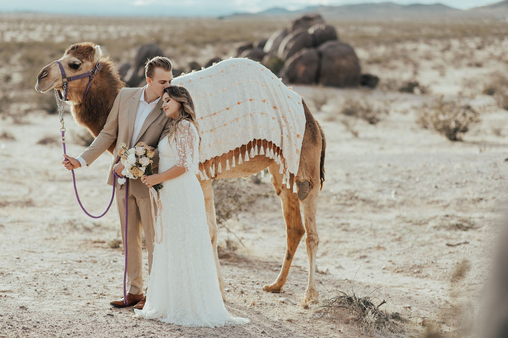 Best National Parks to Elope In - Joshua Tree
