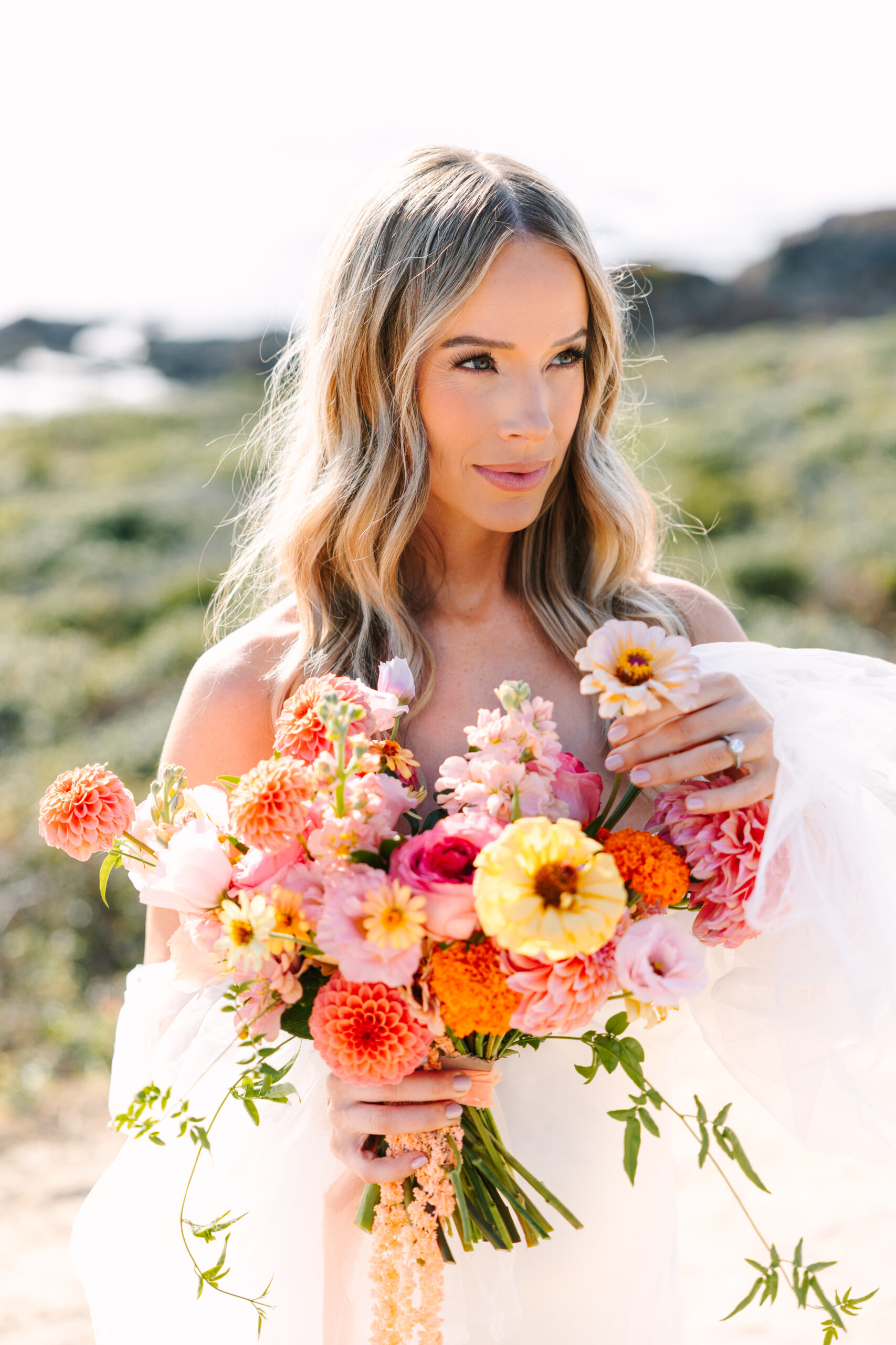 Big Sur, Ca elopement