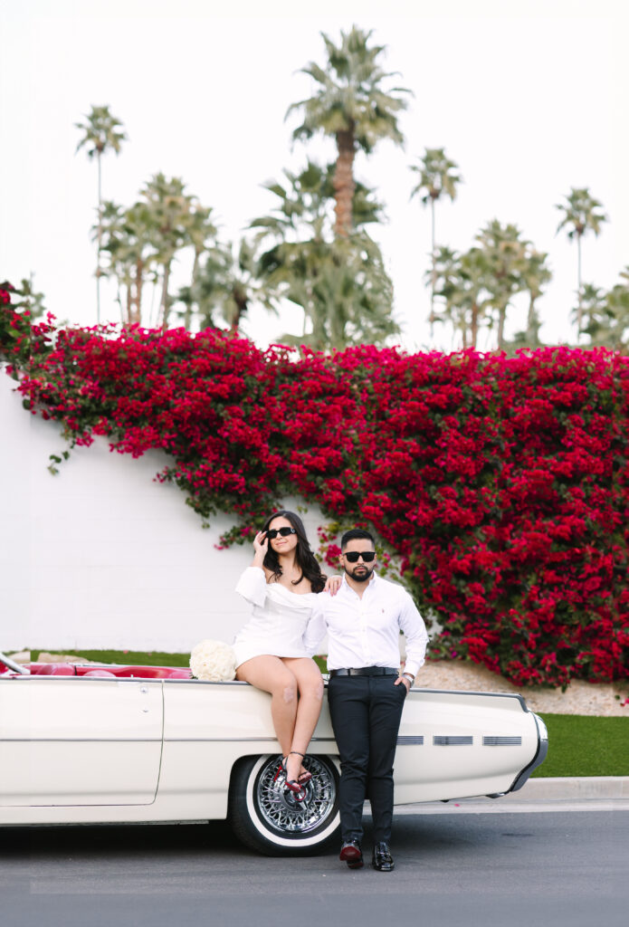 Bougainvillea flowers in Palm Springs California