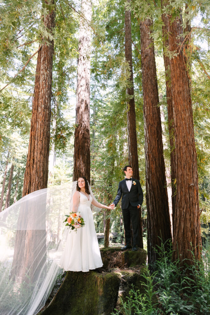 Bride and groom amongst the redwood trees in Santa Cruz mountains