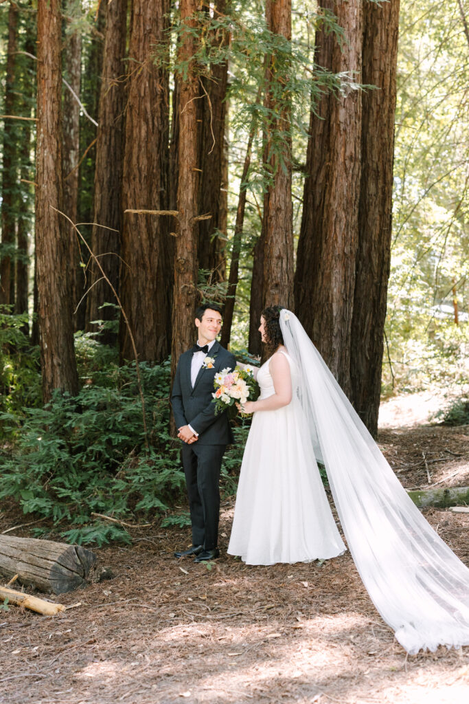 First look amongst the redwood trees in Santa Cruz