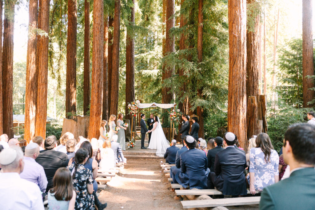 wedding ceremony in the Santa Cruz Redwoods