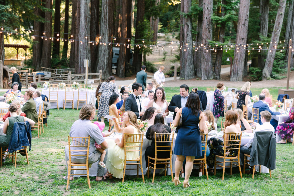 redwood wedding in santa cruz california